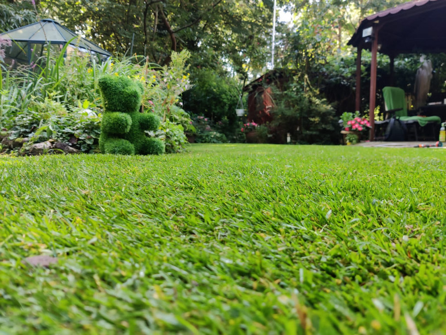 GB GARTENBAU GmbH - Bärenstark! Ihr Galabauer in Willich und Umgebung